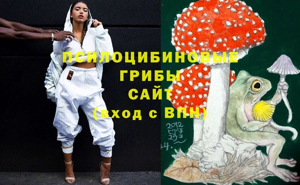 твердый Алексин
