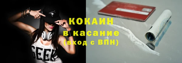 твердый Абаза