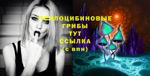 твердый Абаза