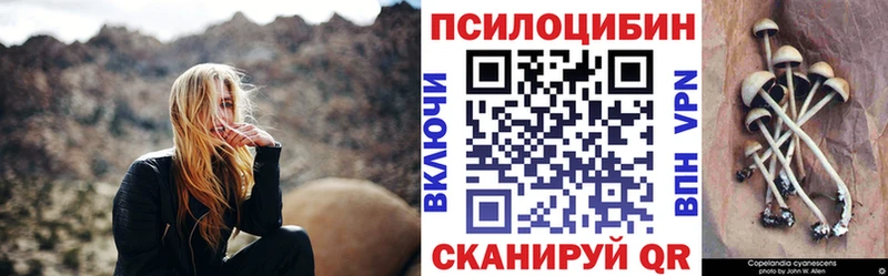 Галлюциногенные грибы Psilocybe  Карасук 