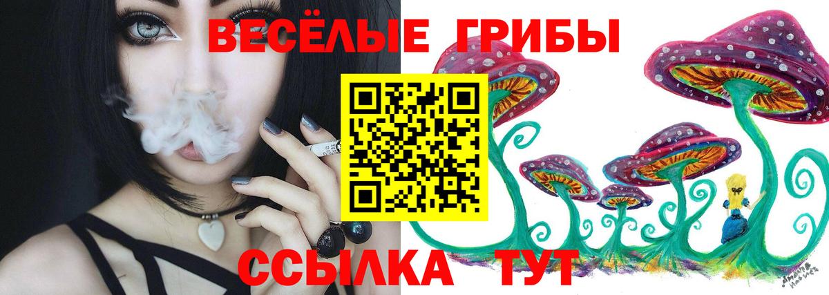 Карасук  Галлюциногенные грибы мицелий  Вход с VPN 
