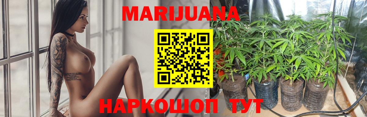 Конопля планчик  Вход с VPN  Марихуана индика  Карасук 
